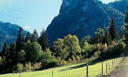 Gästehaus Enzianhof Hotel Garni Oberammergau Exterior foto